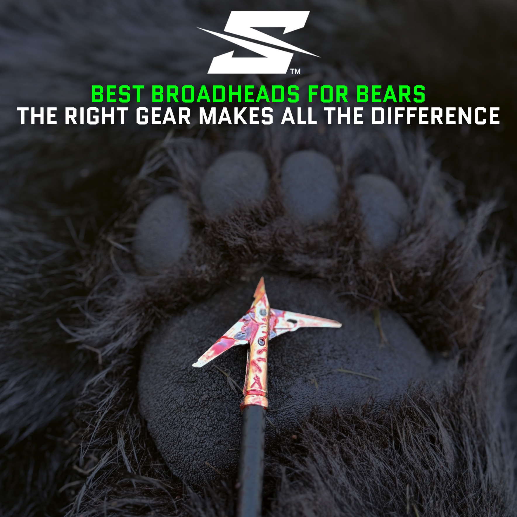 Read more about the article Best Broadheads For Bears: The Right Gear Makes All The Difference
